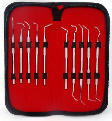 Professional Dental Oral Kit - Scaler Probe Pick SET Mirror STEEL- Dentist Tools