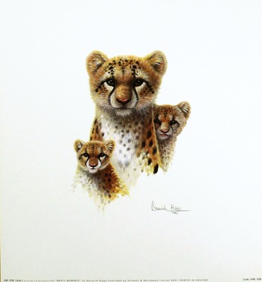 Pair Of Signed Limited Edition David Shepherd Lion & Tiger Prints 40 X 33 Cm Art