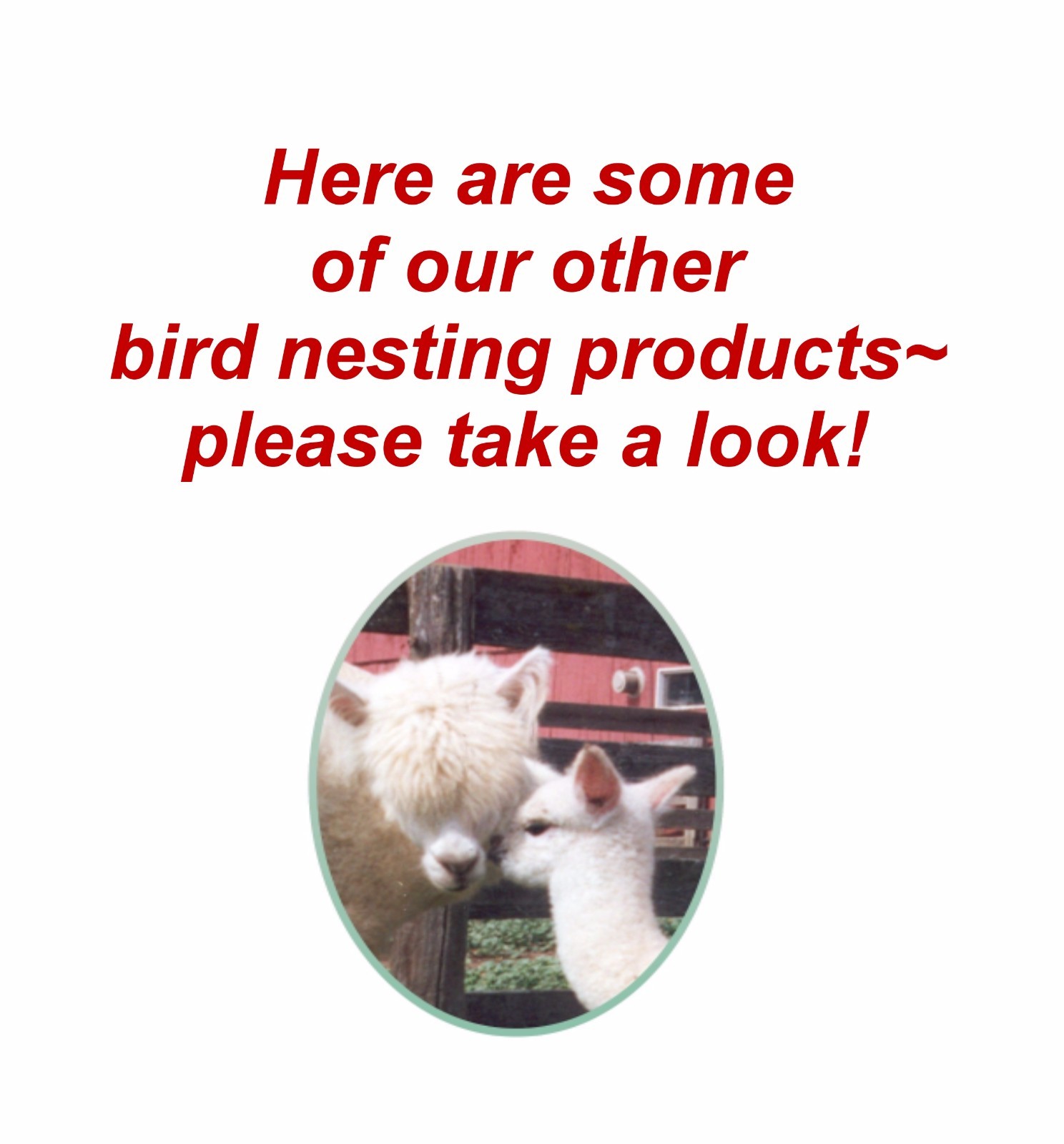 CHRISTMAS GIFT Hummingbird/Bird ALPACA Fiber Nesting Basket+REFILLS~SHIPS FREE!