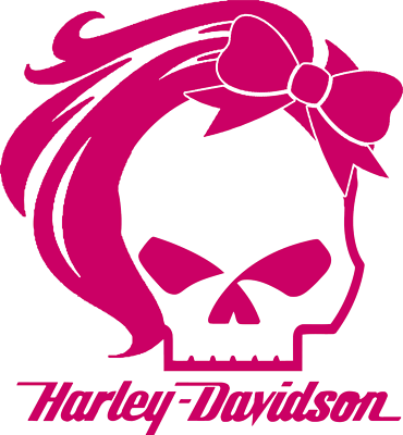 Harley davidson 2024 stickers for cars