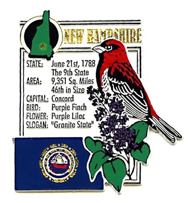 New Hampshire The Granite State Montage Fridge Magnet