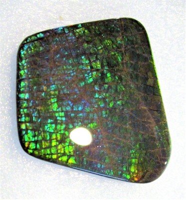 LARGE AMMOLITE GEMSTONE 57mm x 53mm