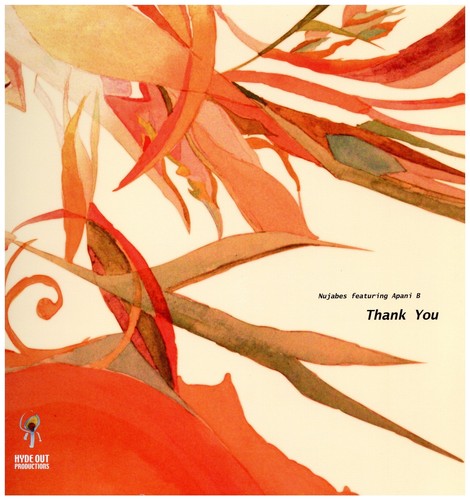 LAWS / APANI B-FLY EMCEE NUJABES プロデュース！ Apani B-Fly Emcee – Laws – Vinyl (12