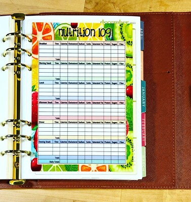 Nutrition Log Dashboard Insert 4 use with ErinCondren A5 Ring Agenda