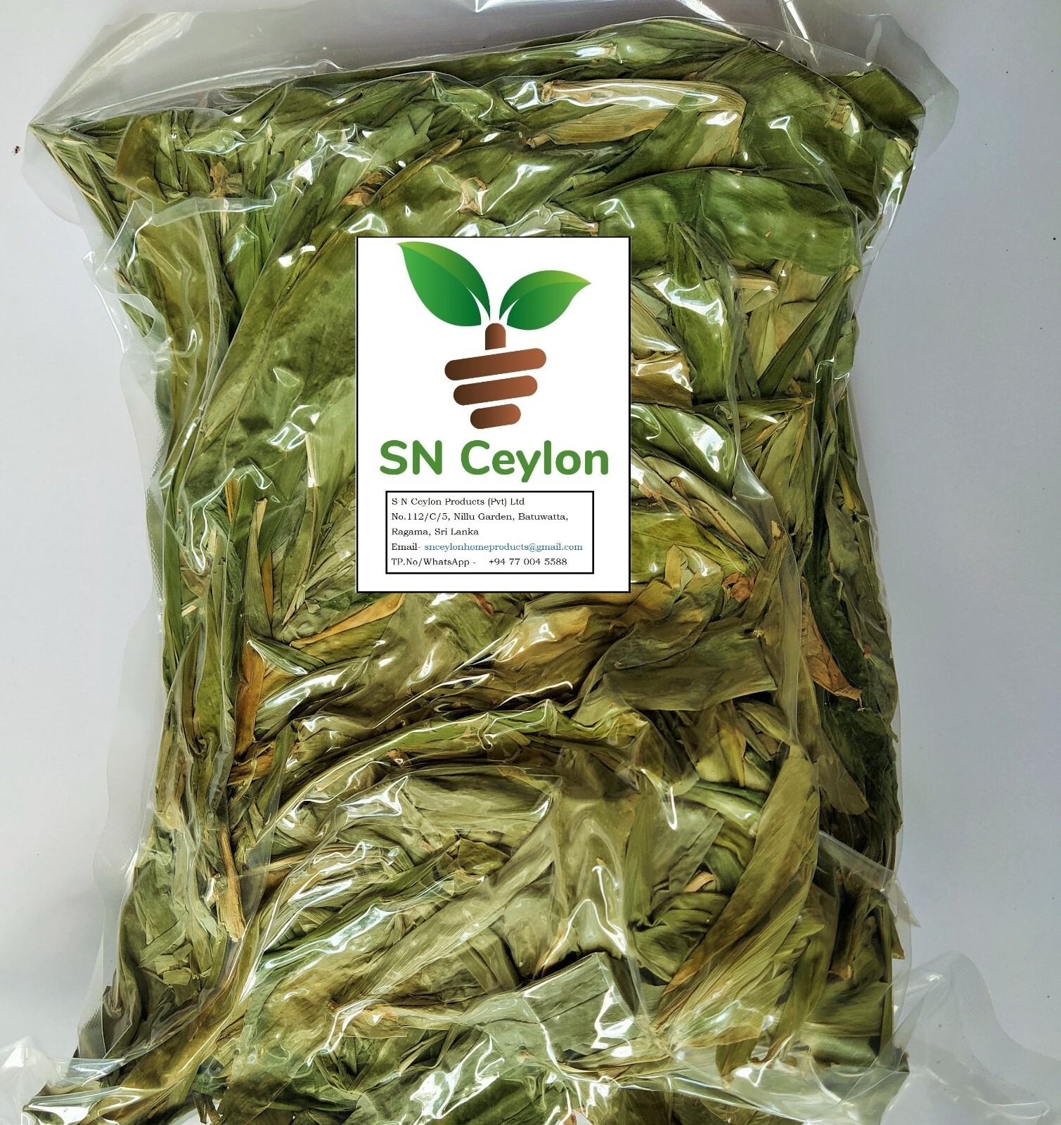 Shampoo Ginger Zingiber zerumbet| Bitter/ Wild Ginger - 100g