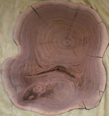 WALNUT COOKIE/ROUND SMALL 24'' X 19'' EPOXY & PROJECT READYY