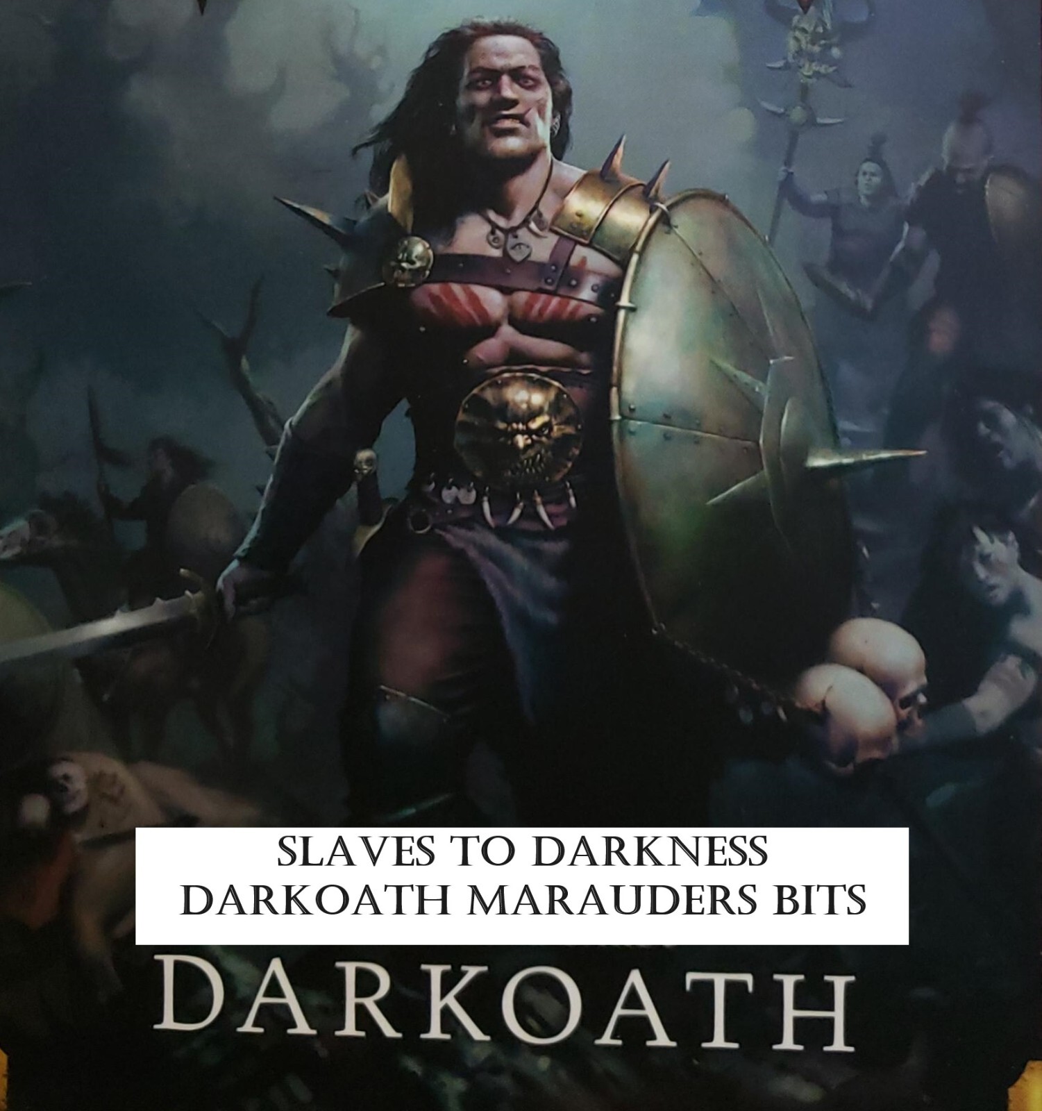【Duru様用】ASTAROTH / Sklavengott Warhammer Slaves to Darkness Darkoath Marauders BITS BITZ