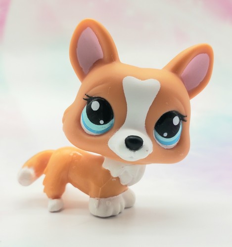 Littlest Pet Shop Authentic # 1360 Orange White Corgi Blue