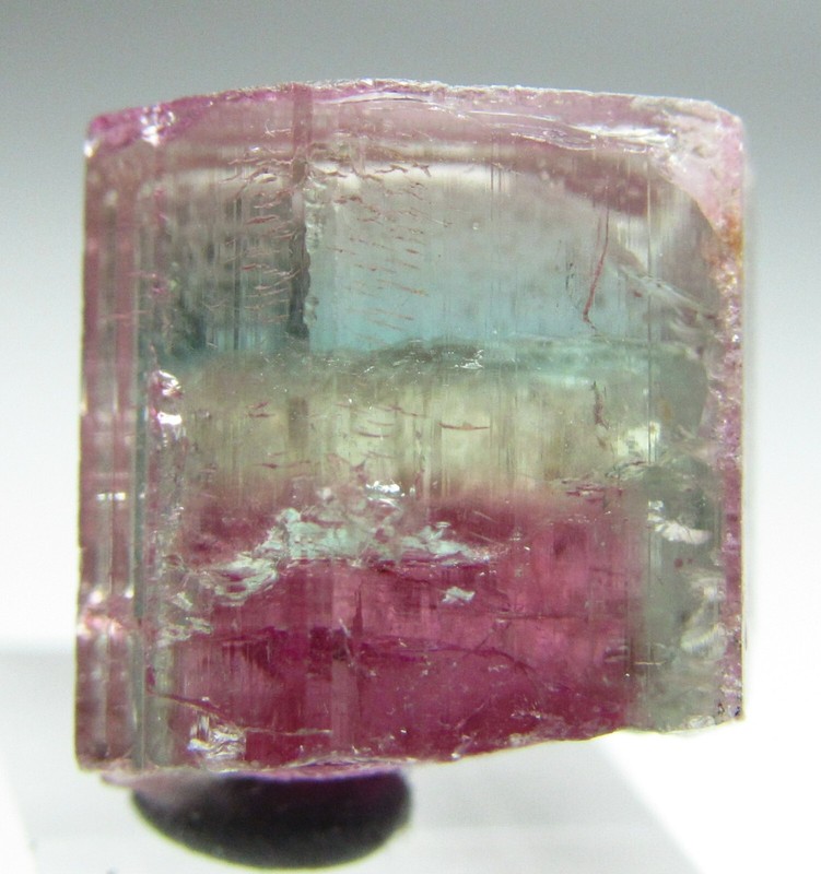 MESMERIZING UNIQUE GEM TOURMALINE CRYSTAL!!! SAPO MINE BRAZIL