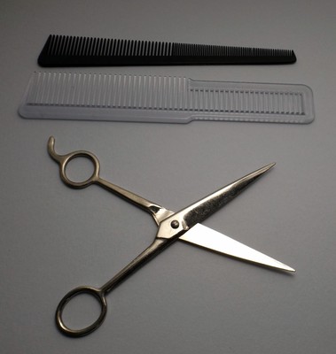Hair Cutting Shears / Scissors 2