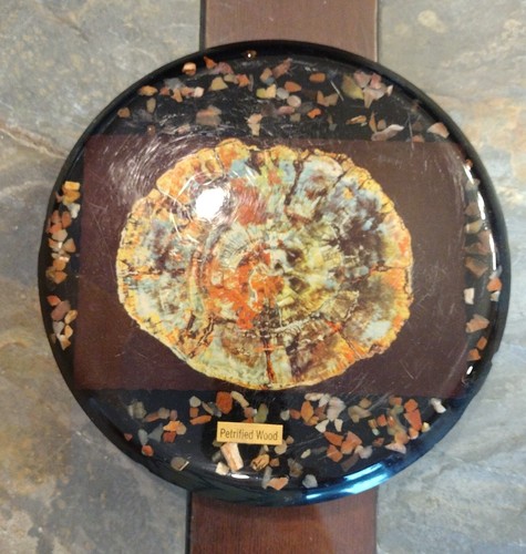 Petrified Wood Slice Resin Lacquered Trivet Wall Hanging 7