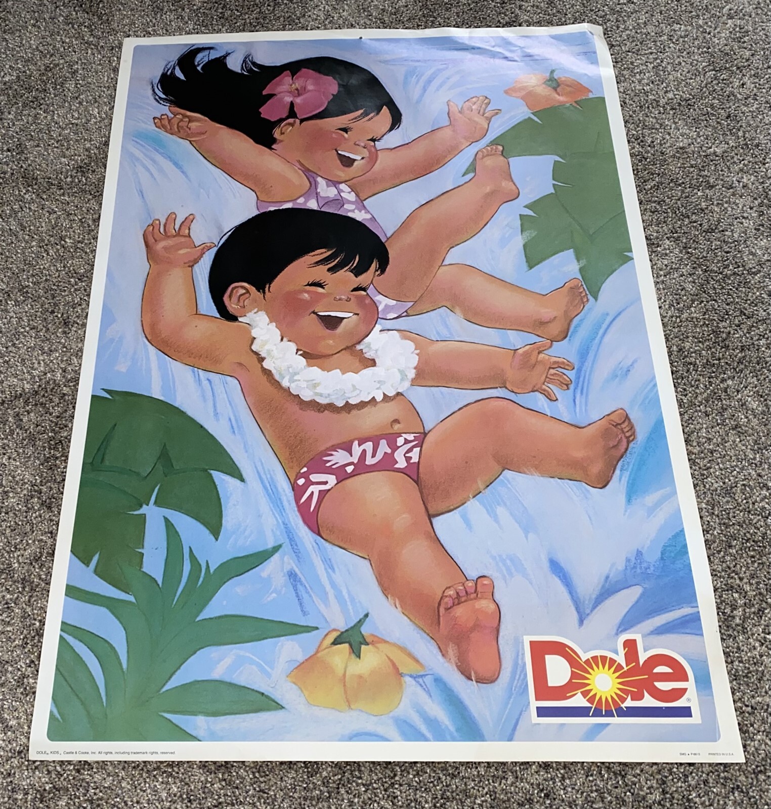 hawaii❤️ヴィンテージタペストリー Vintage Dole Hawaiian Pineapple Co Poster with Darling