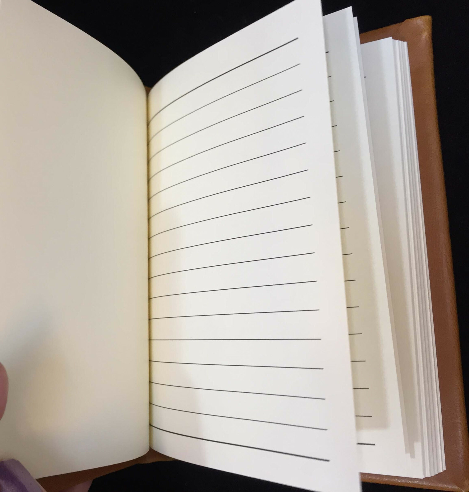 Notes Notebook Brown Faux Leather Embossed Feather Design 6x4 Lined Paper