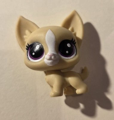 Foto dell'oggetto di un acquirente verificato