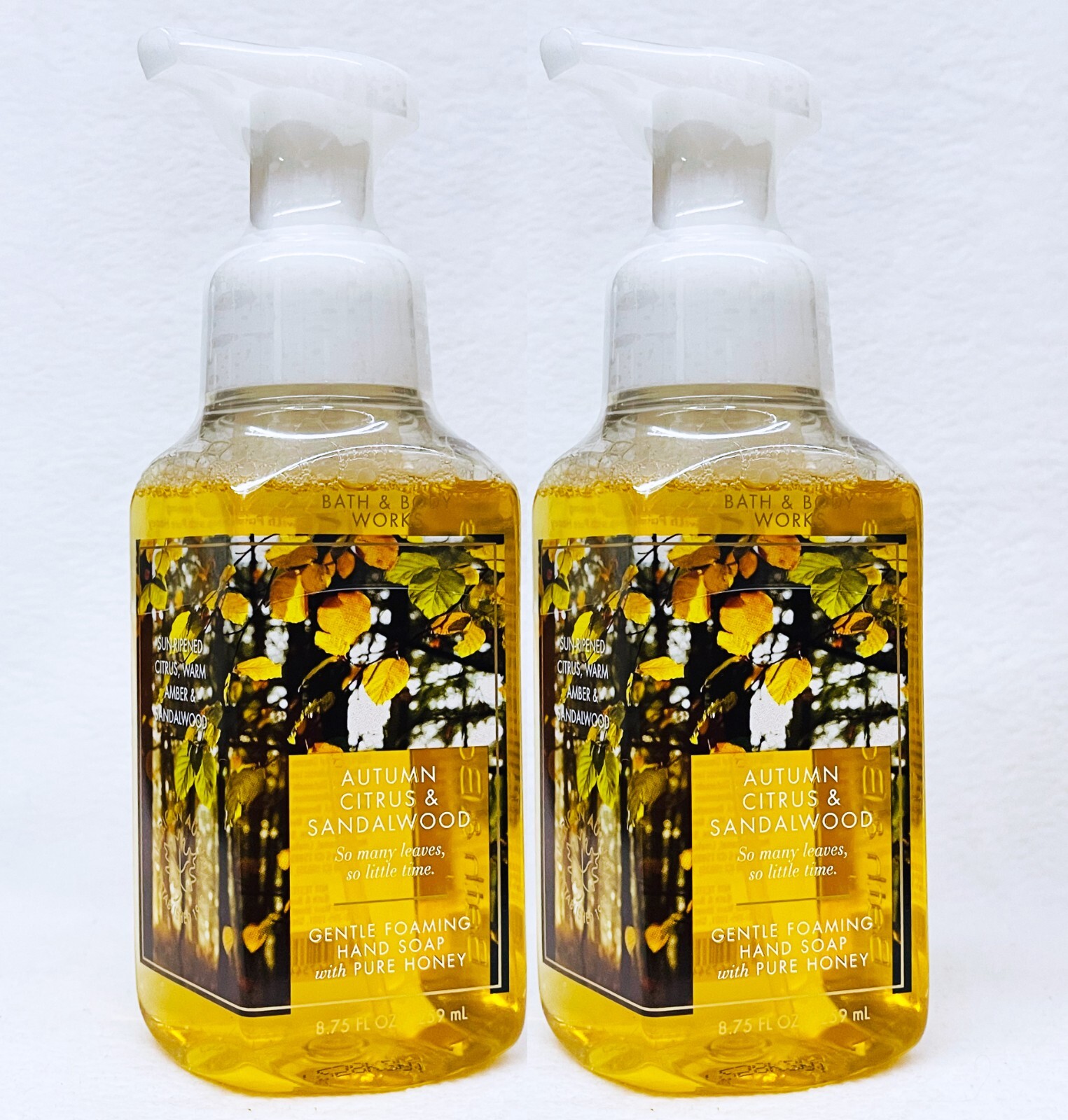 専用 bath&body works Mist Hand Soap Fall Bath&Body Works Mountainside Mist Gentle & Clean Foaming