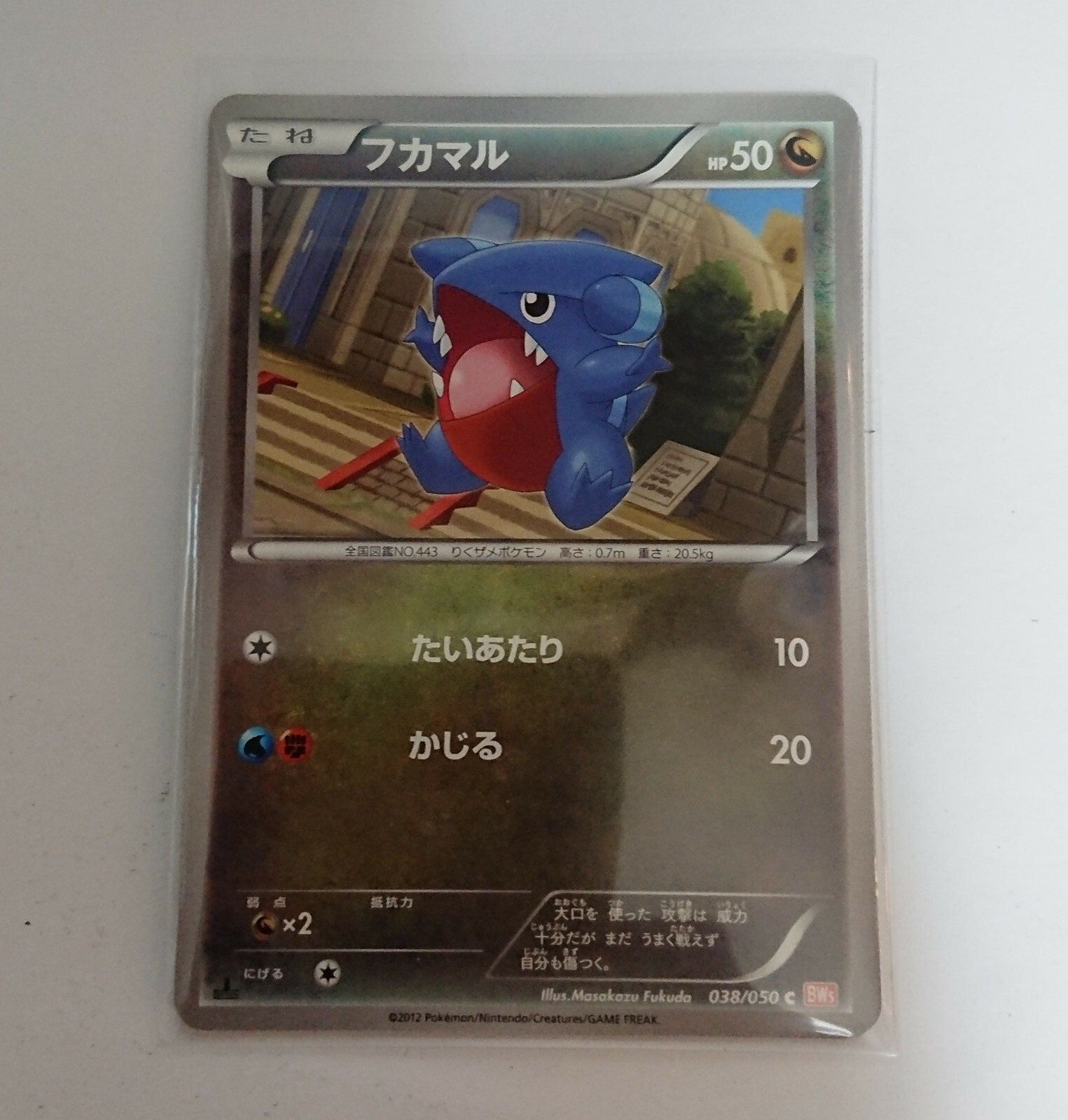Limited Sale! pokemon card game TCG Gible BW5 038 Japanese