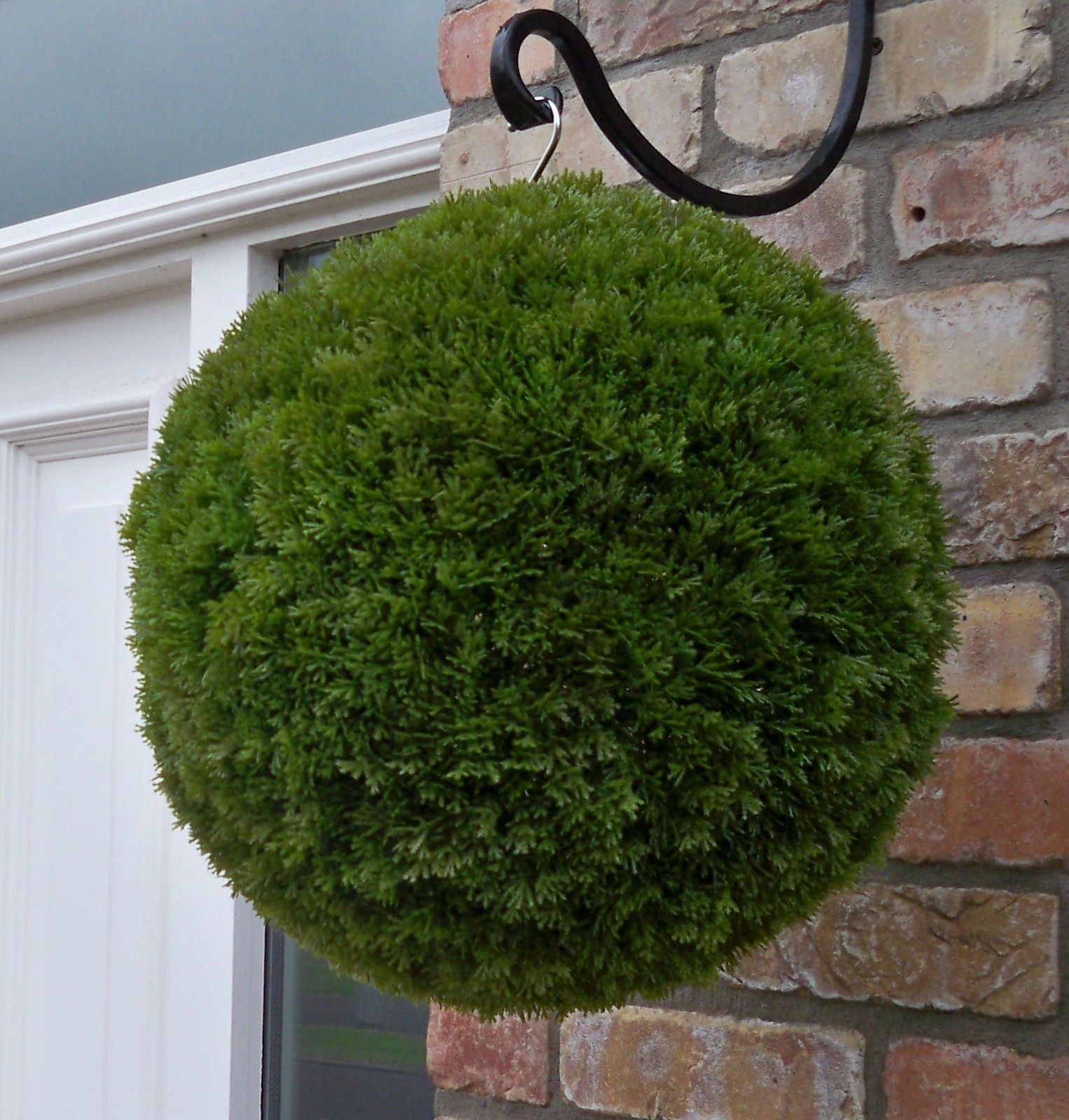 Best Artificial Conifer Topiary Ball Hanging Basket Garden alt Boxwood