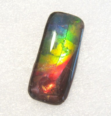 AMMOLITE GEMSTONE 34mm x 13mm