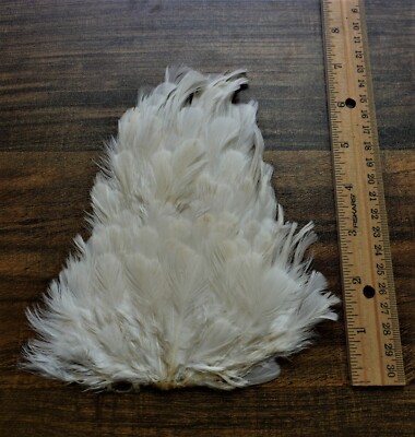 Lot  107,  Natural White Hen Back Saddle Soft Hackle Feathers for Fly Tying