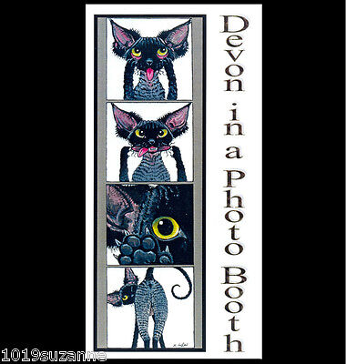  Devon Rex Cat art painting greetings card original design by Suzanne Le Good