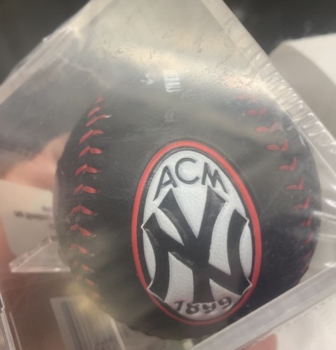 COACH ×MLB New York Yankees　野球ボール COACH ×MLB New York Yankees 野球ボール