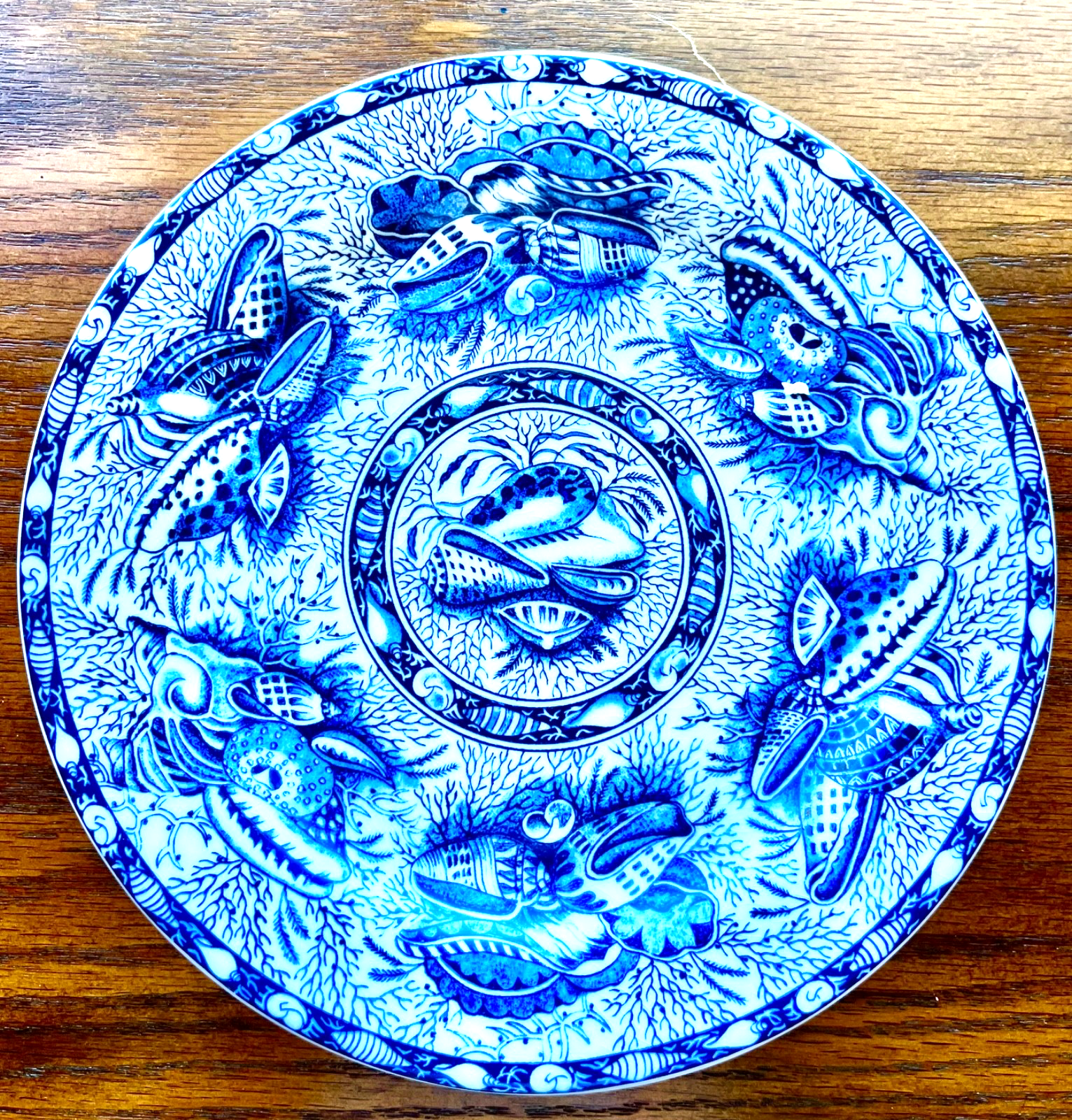 Motthaedeh TORQUAY Blue & White Plate Shell Pattern by VA Portugal