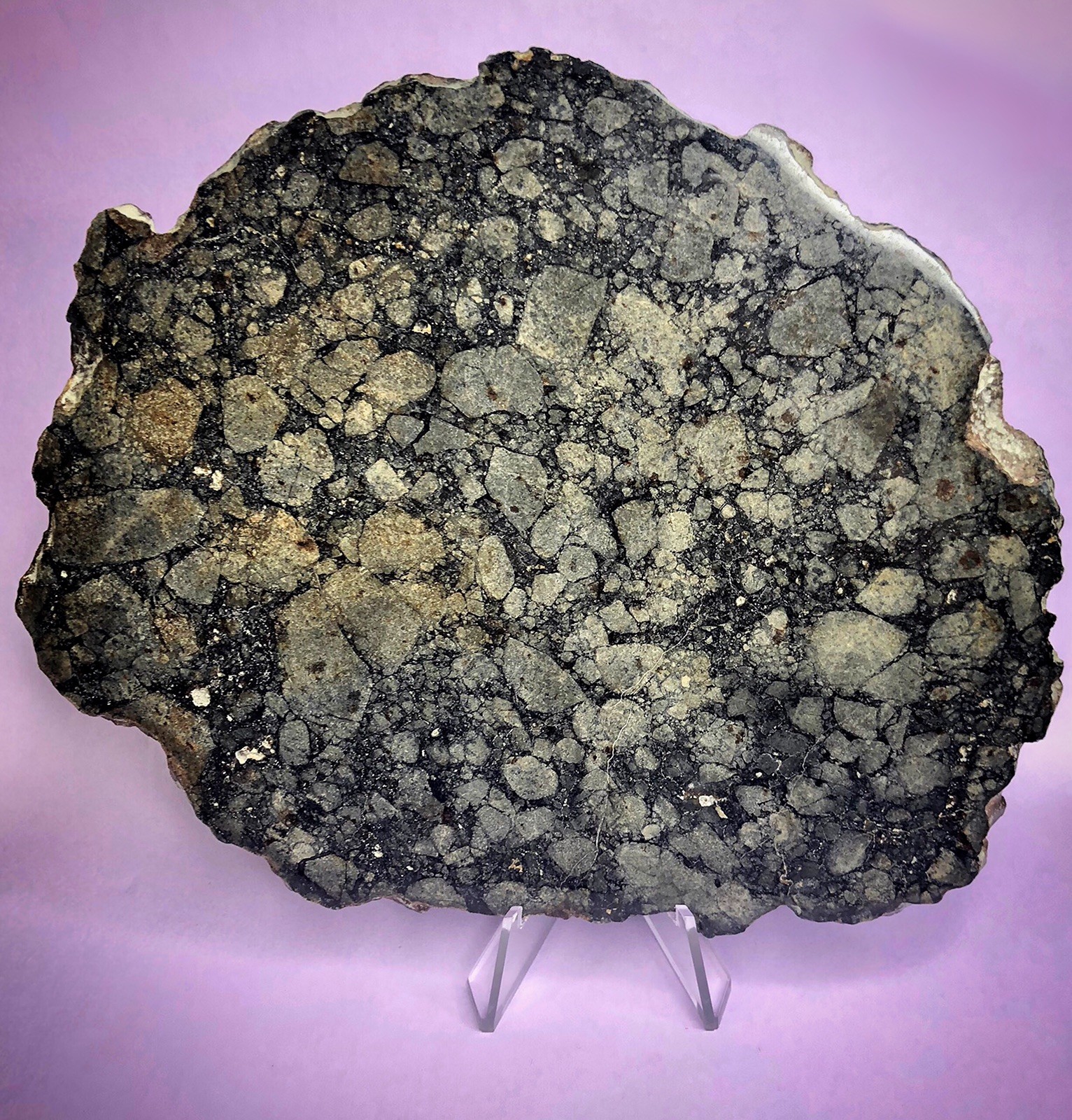 199.35g NWA 11786 Eucrite-mmict paired 2015 Jay Piatek Meteorite Collection HED