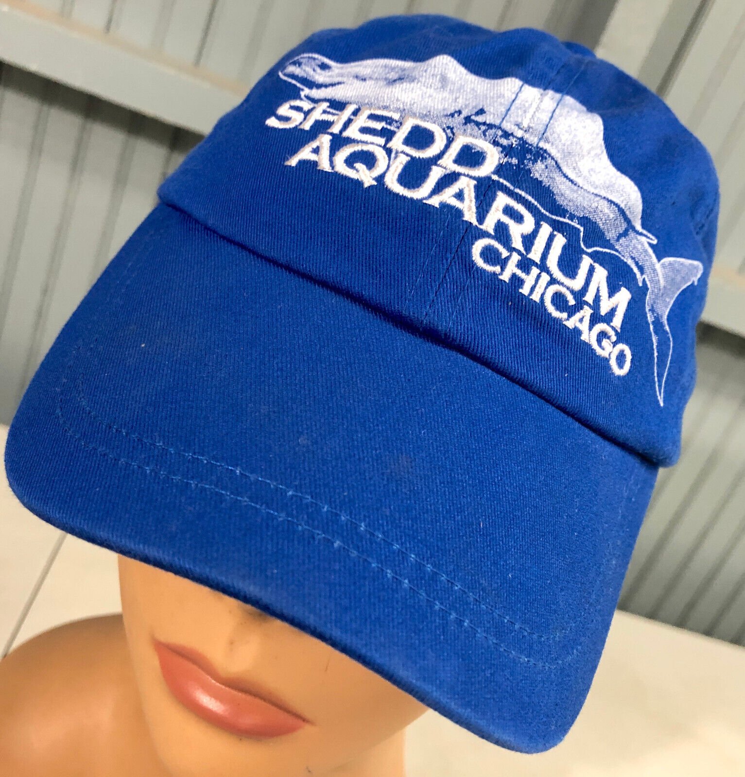 Shedd Aquarium Chicago Blue YOUTH Adjustable Baseball Cap Hat