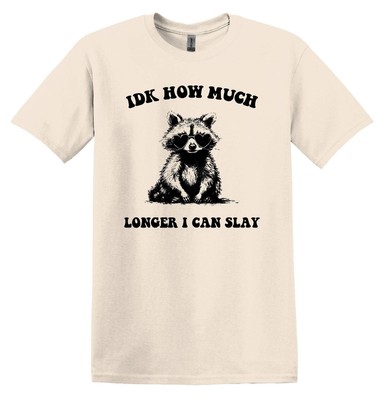 IDK How Much Longer I Can Slay Shirt Graphic Shirt Funny Shirts Vintage Funny T-