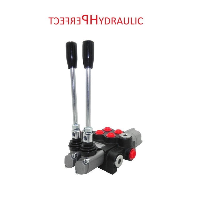 1x Schwimmstellung Handsteuerventil Handhebelventil 40l 2fach Doppelwirkende