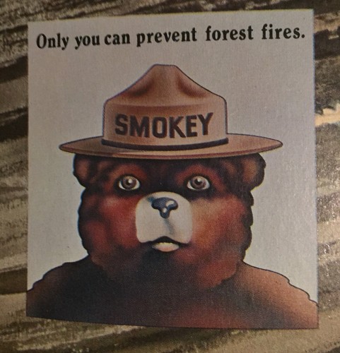 VINTAGE 1970 SMOKEY THE BEAR 