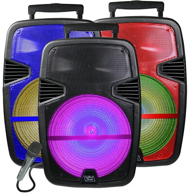 TOPTECH  Portable 3000 Watts Peak Power 12  Speaker  BONUS FREE  MICROPHONE