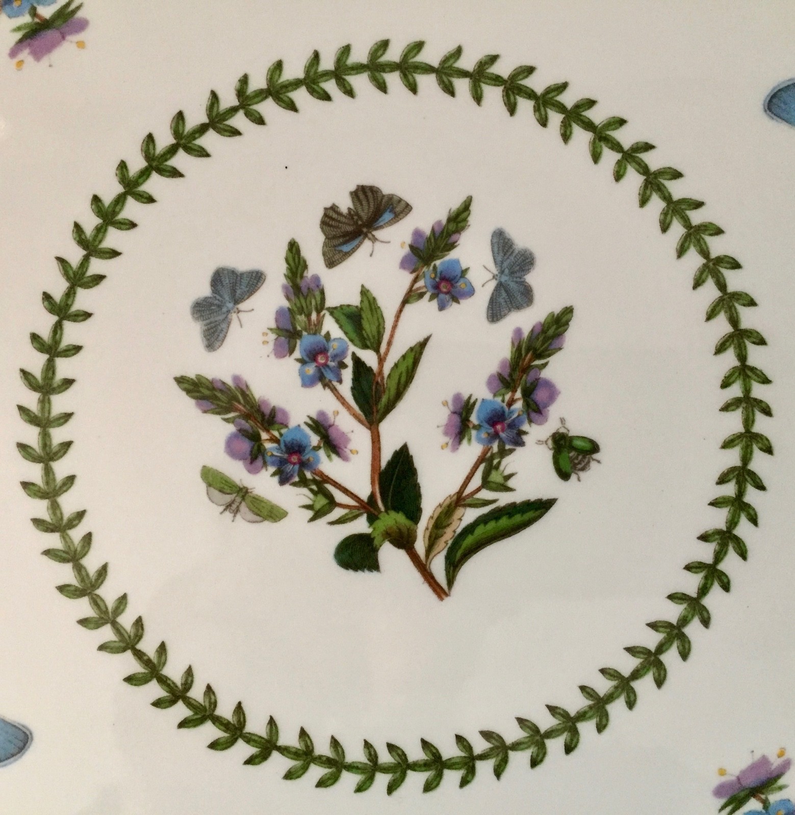 PORTMEIRION BOTANIC GARDEN SPEEDWELL 10.75
