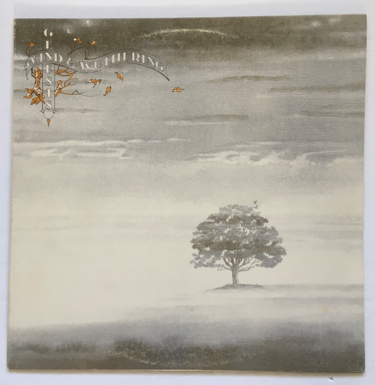 Genesis Wind & Wuthering UK(英)盤LP Stereo LTM2NTkuanBlZw.jpeg