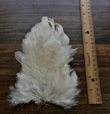 Lot  126,  Natural White Hen Back Saddle Soft Hackle Feathers for Fly Tying