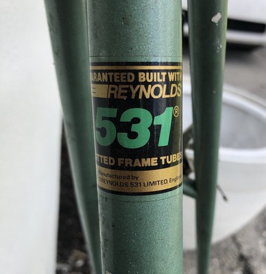 raleigh capri 410 steel