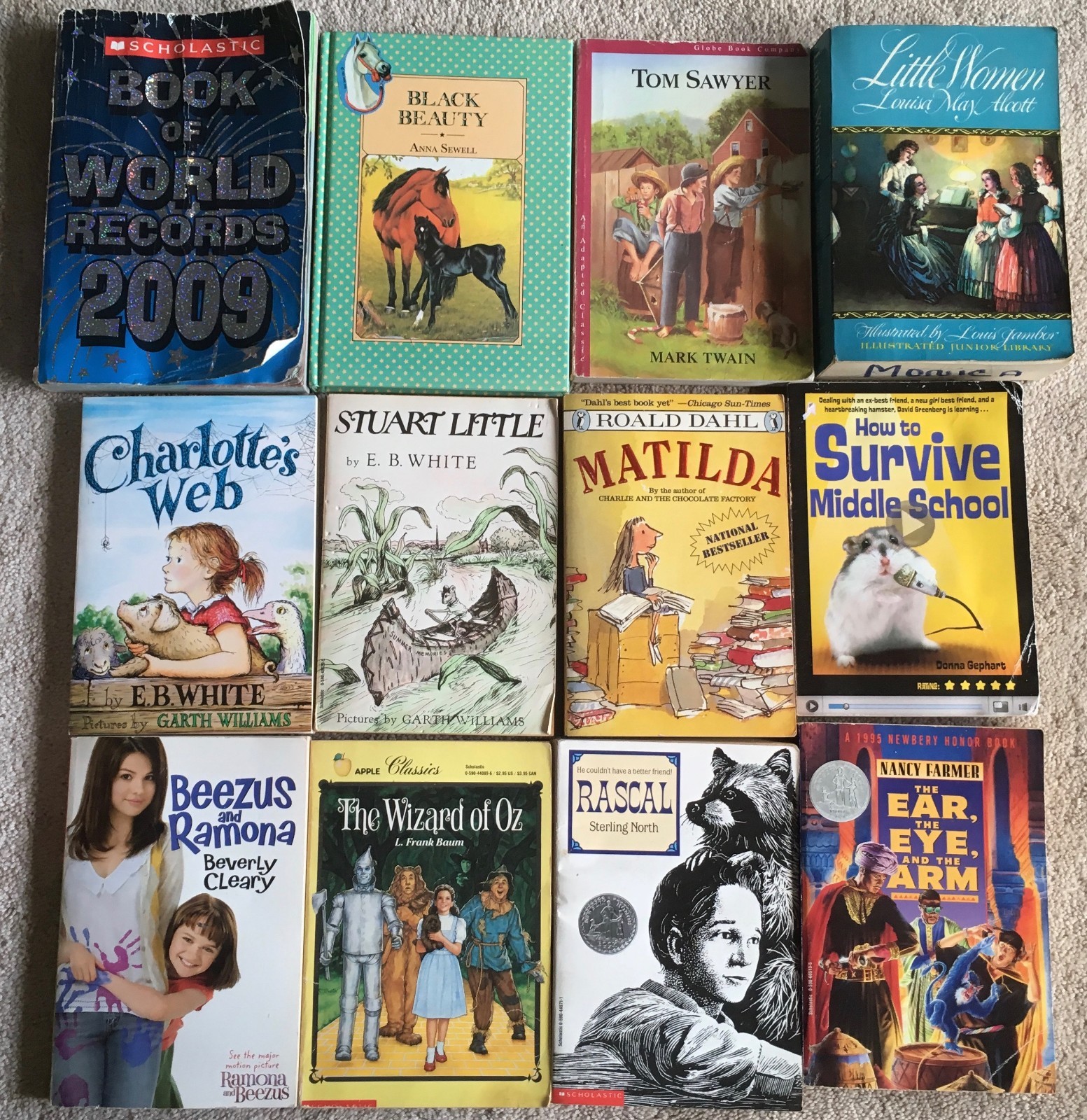 Mixed Lot 60 Middle School Books: Sachar Jacques Alcott Hiaasen White Clearly