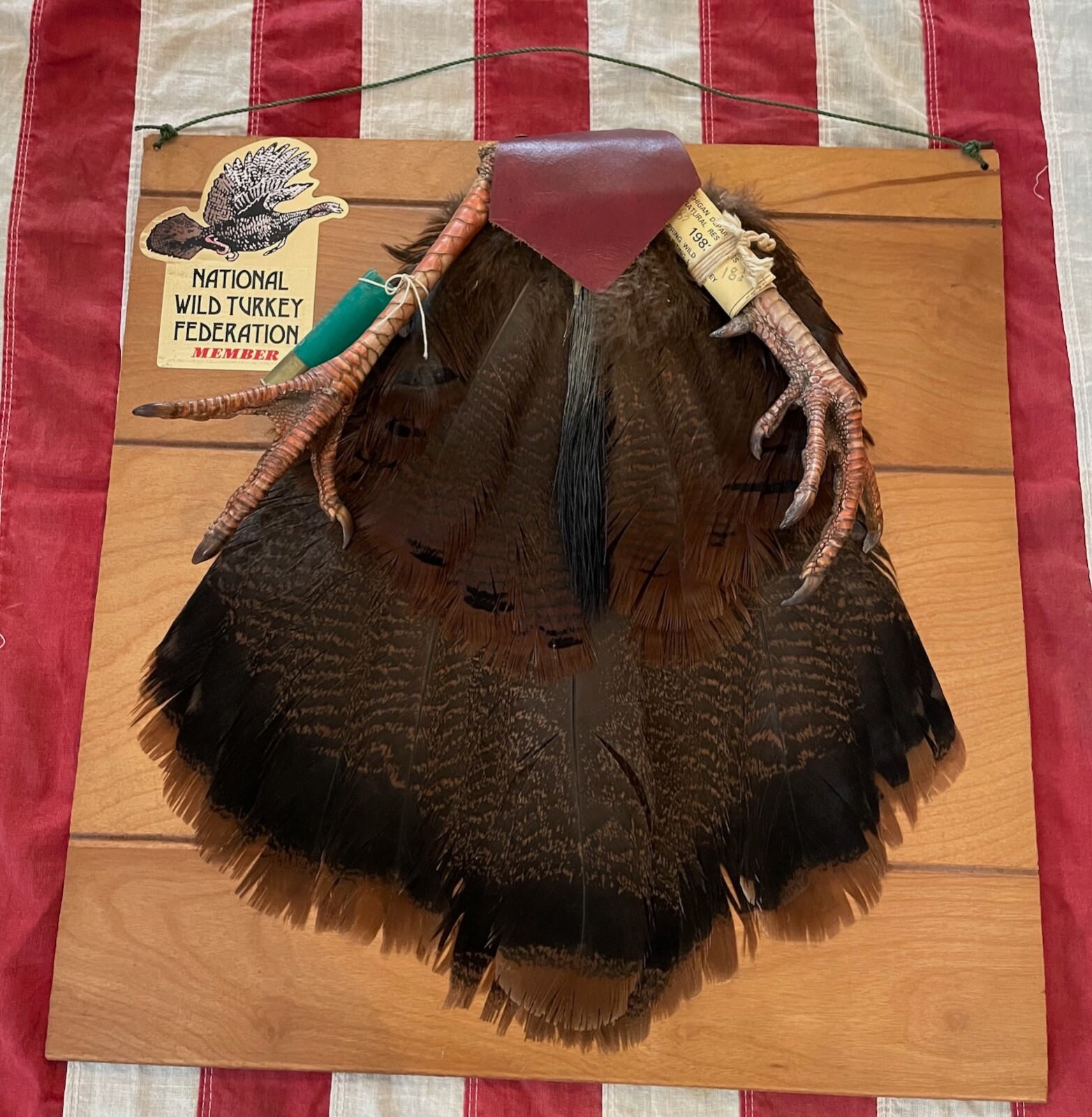 VTG 1980s Wild Turkey Tail Feather Fan Mount Display Taxidermy Nat'l