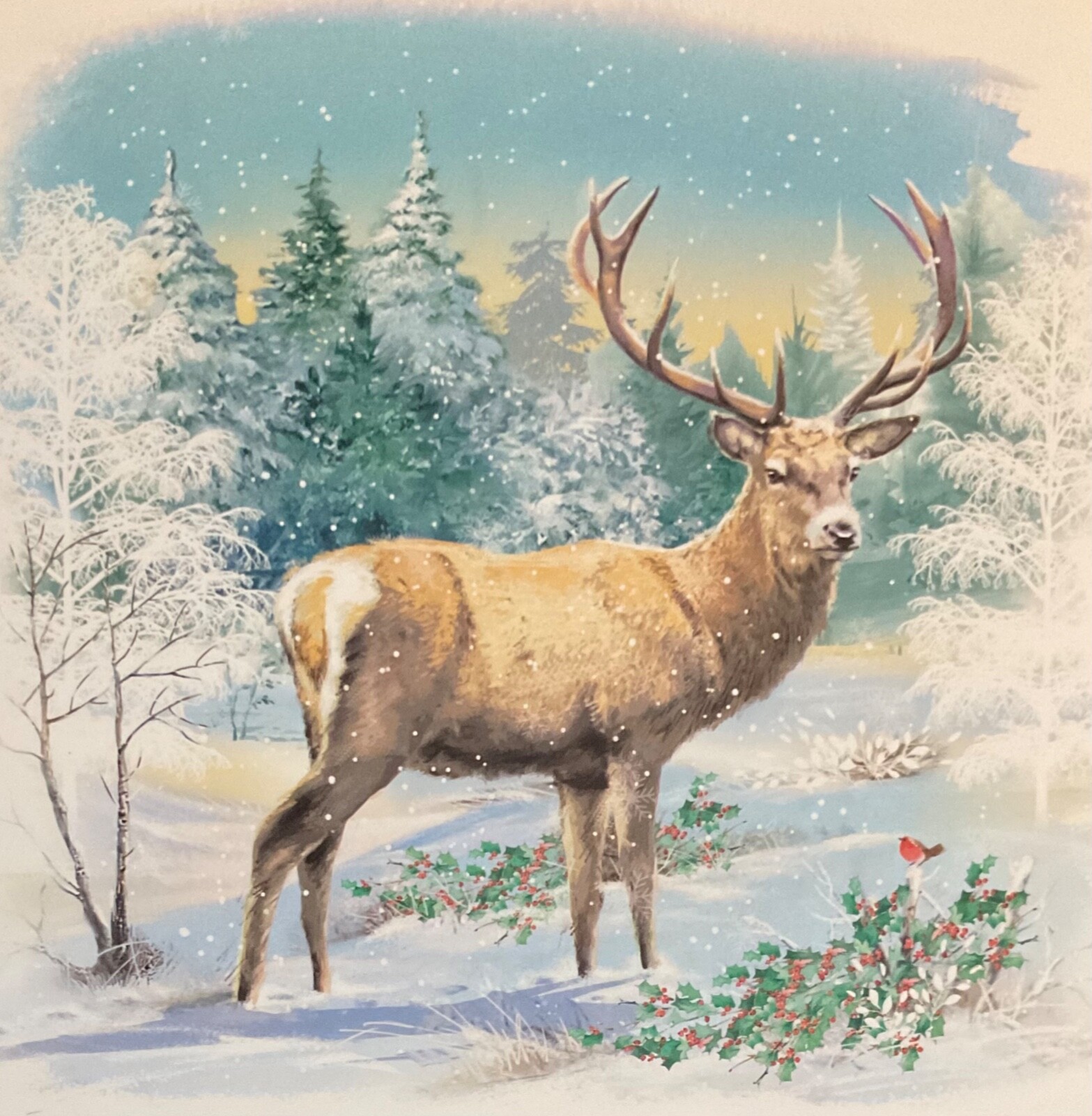 Macmillan Weihnachtskarten „Snowy Forest“ – 10 Stück Mit Umschlägen, 140x140 Mm, Aus FSC-Papier