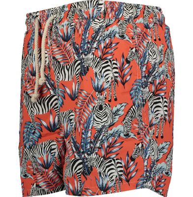 Havacoa swimwear cheap