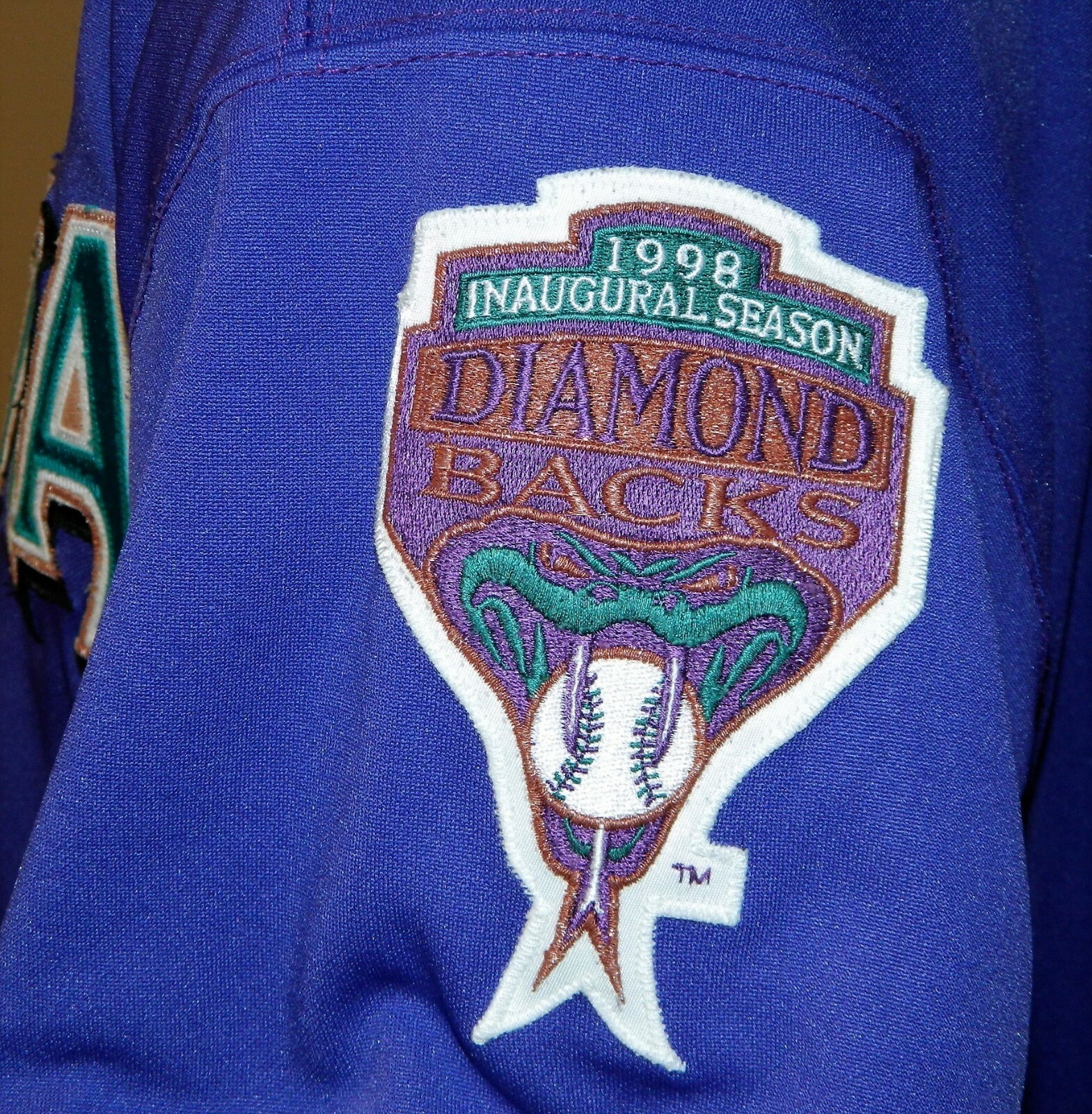 1998 Andy Fox Game Worn Arizona Diamondbacks Inaugural Road Jersey #6