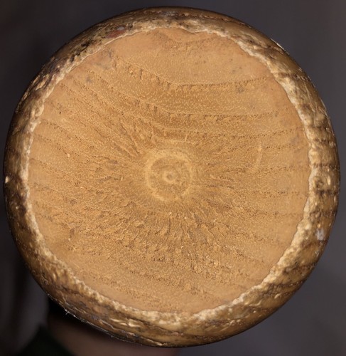 Rare 1999 Wily Mo Pena New York Yankees LVS Game Used Bat