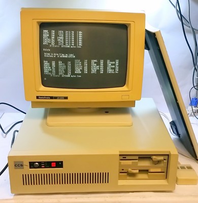Grade A ~ ~ CCS (Computer & Communications System Ltd) 286