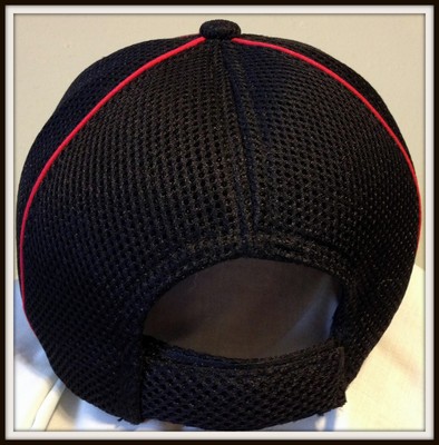 WISCONSIN USA HEADWEAR EMBROIDERED ADULT ADJUSTABLE MESH CAP HAT FREE SHIPPING