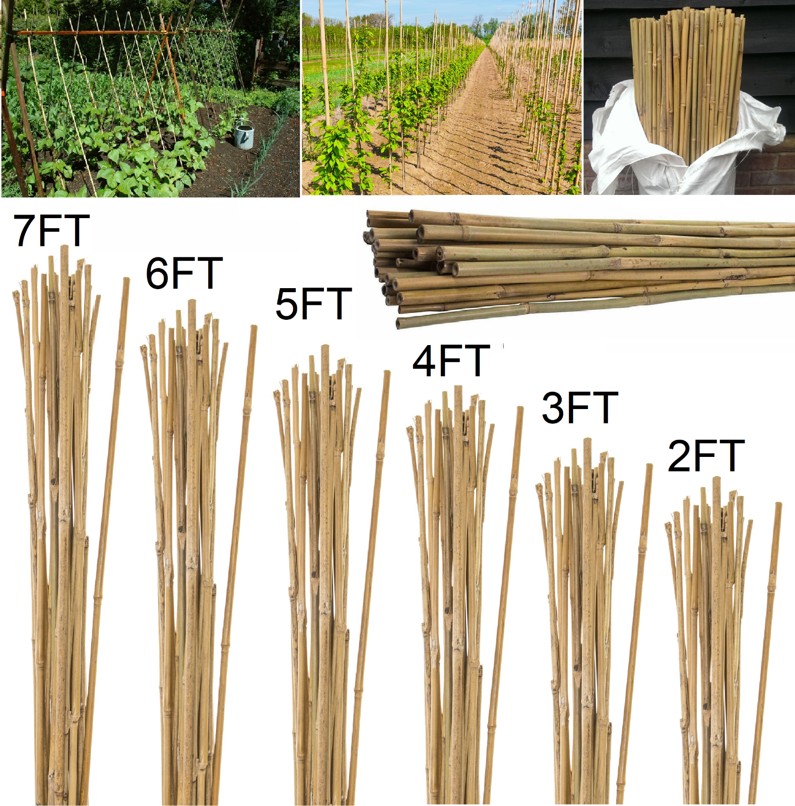 Plant Ties &amp; Supports Bamboo Wooden Plant Sticks Canes 5