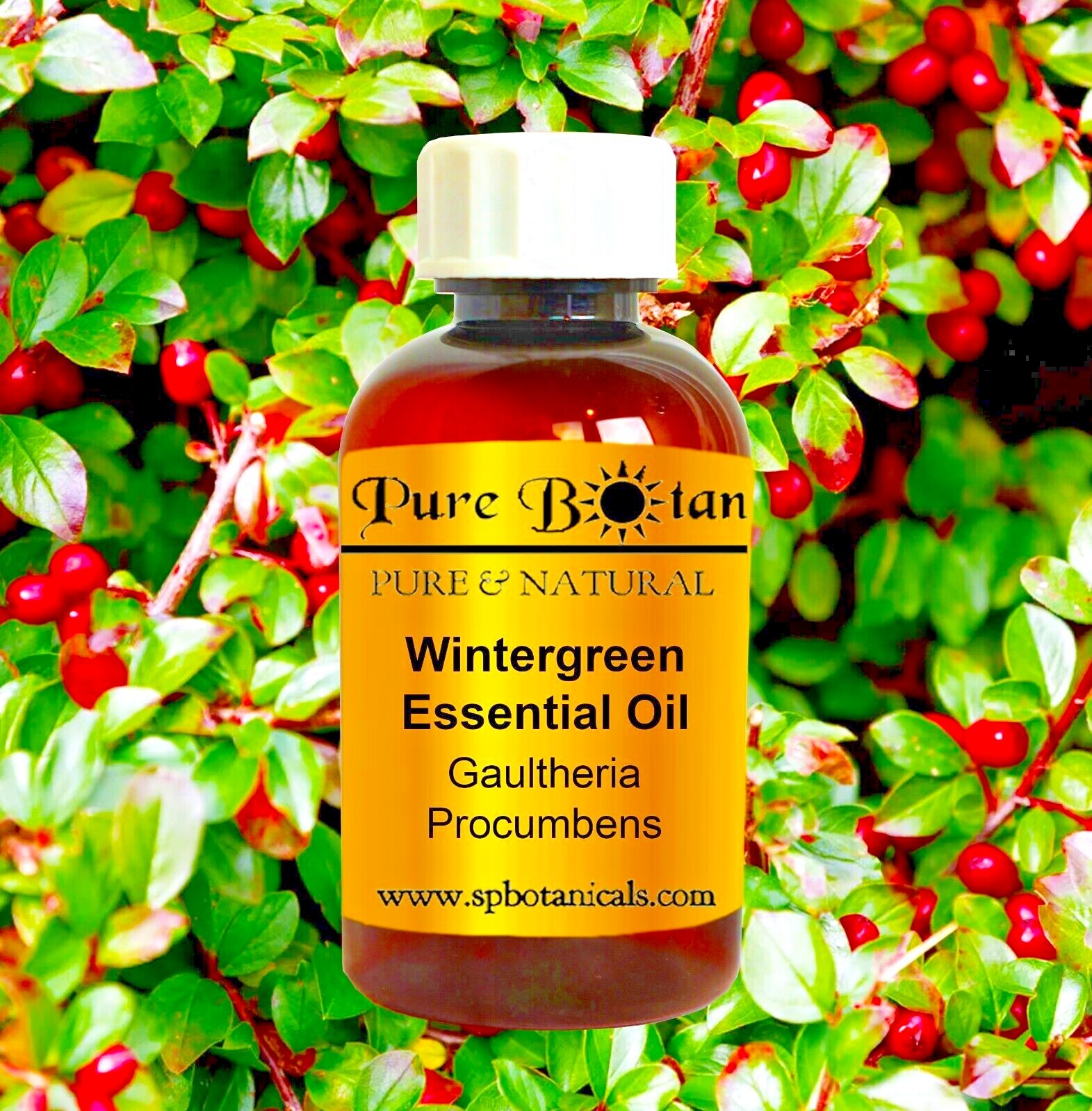 Wintergreen Essential Oil· 100% PURE & NATURAL· Uncut · Free Shipping · 4oz