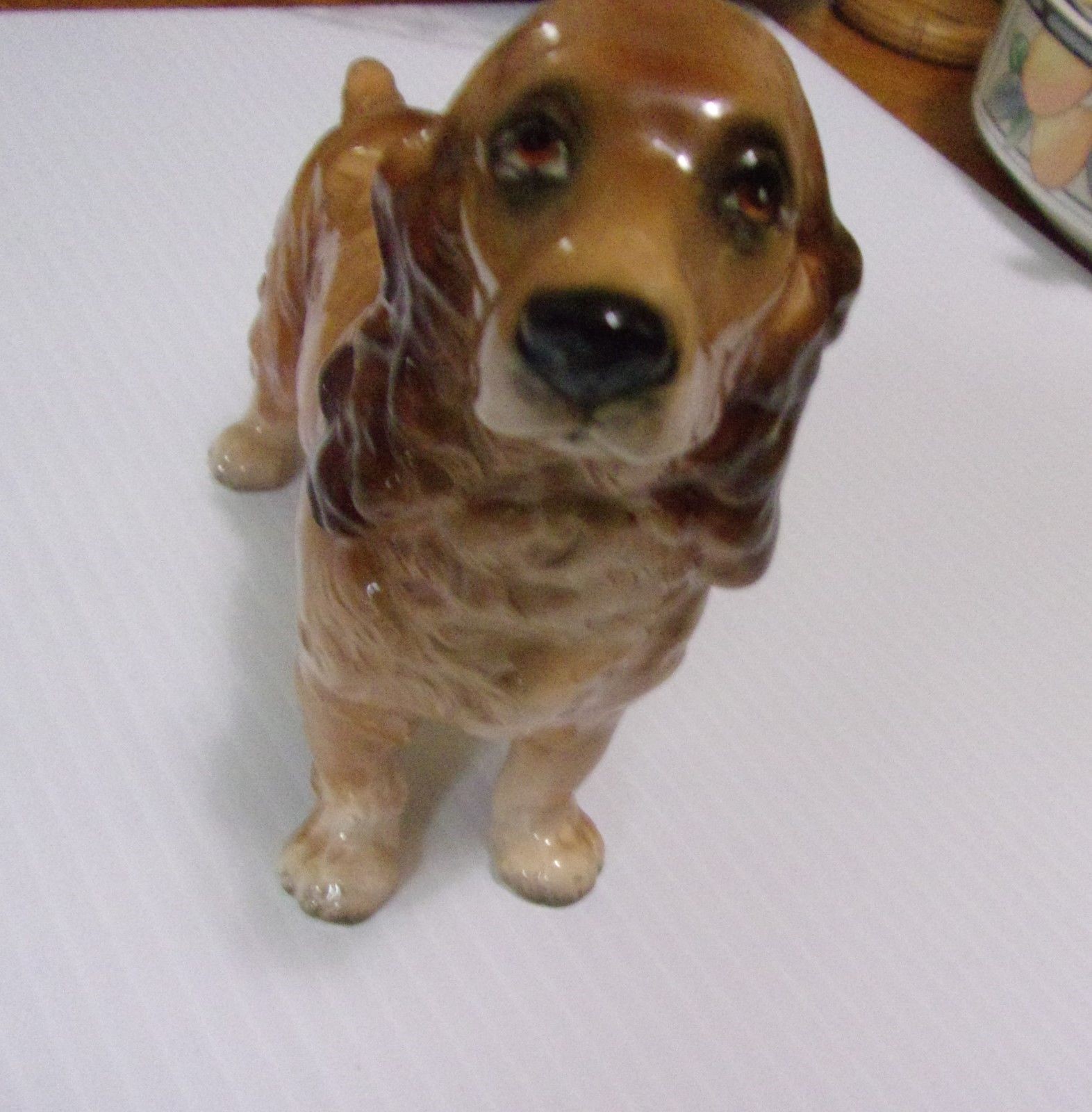 BEAUTIFUL BUFF COLOR   COCKER SPANIEL DOG