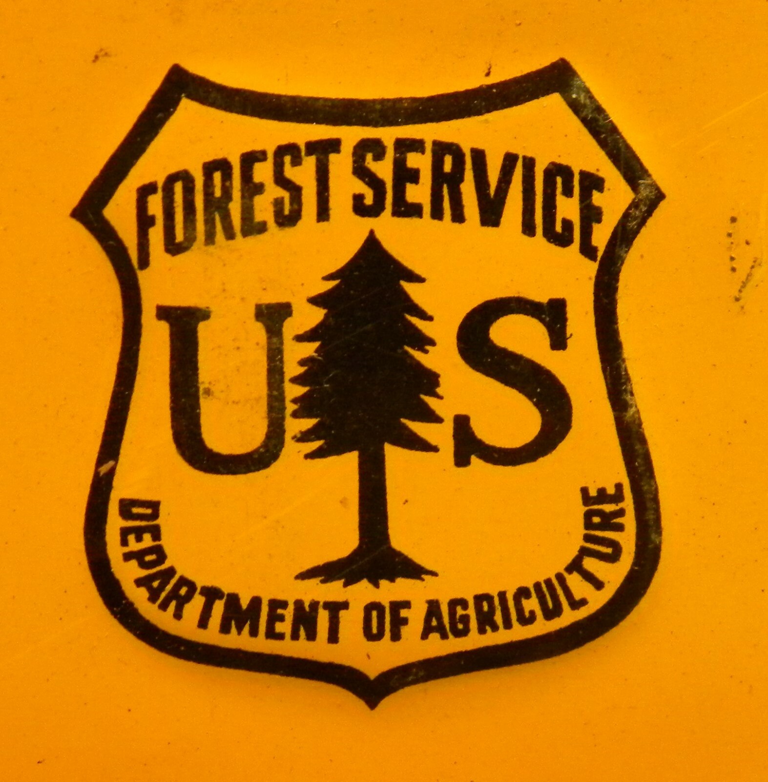 Vintage Very Old 1905-1920  METAL Forest Service EMBOSSED Sign Salt Ground
