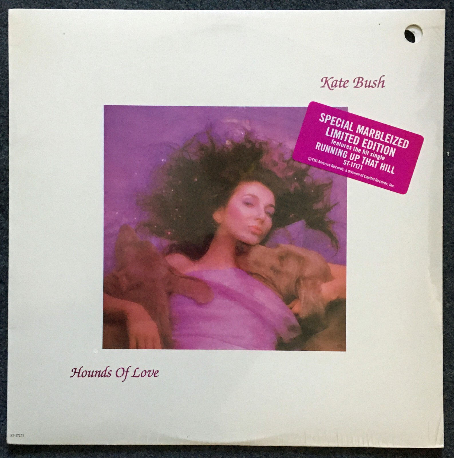 洋楽 Kate Bush/Hounds Of Love/marbleized/LP Kate Bush Hounds of Love SEALED 1985 Special Marbleized