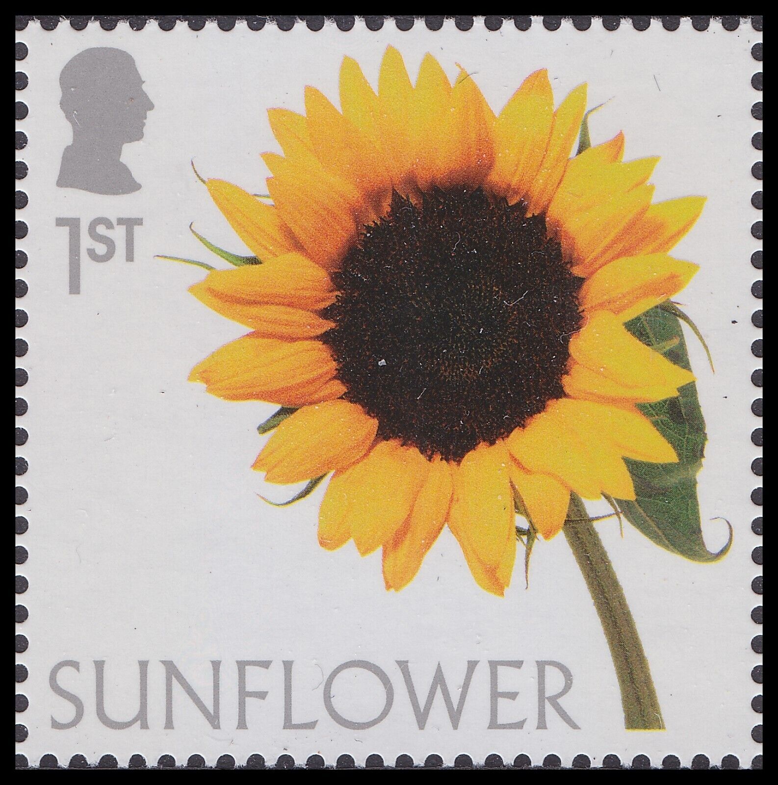 GB 5003 Flowers Sunflower 1st single MNH 2023 GB 5003 Flowers Sunflower 1st single MNH 2023